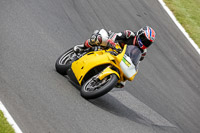 Middle Group Yellow Bikes